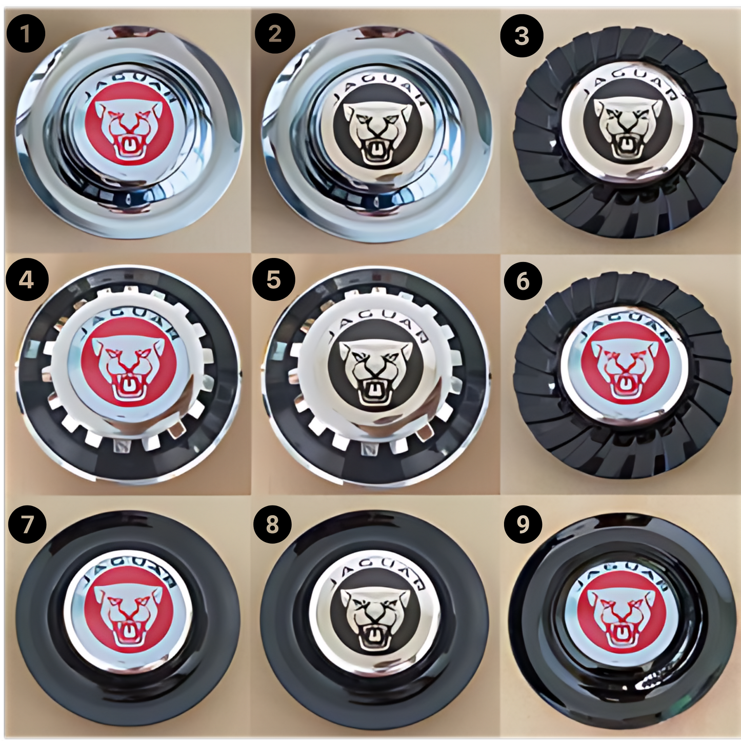 Jaguar 6 styles 1