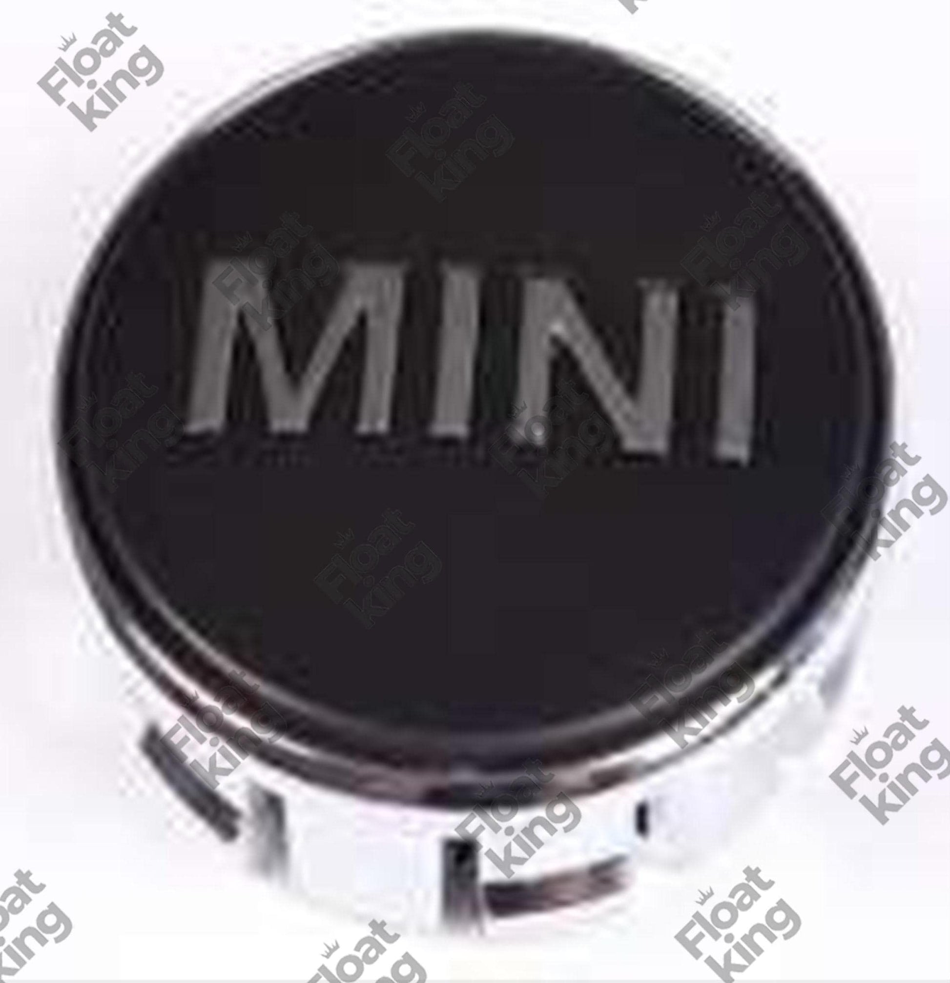 Mini Cooper Black.